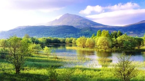 独特创新高质量